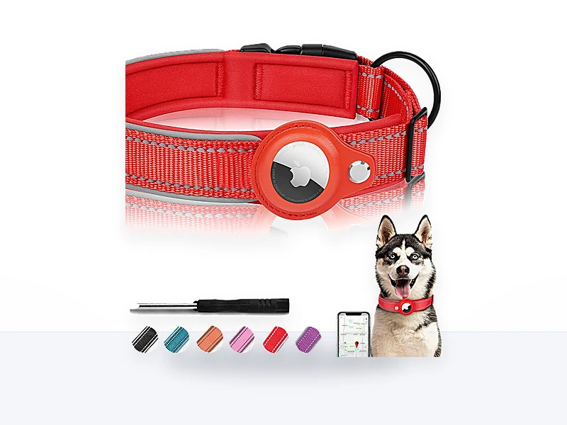 Collar para perro acolchado, antiladridos o luminoso: cómo medir el cuello y elegir cierre seguro