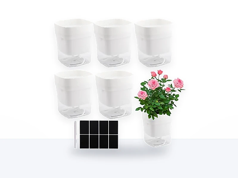 CHUIFAI 6 Macetas Autoriego Transparentes 12 cm para Hierbas de