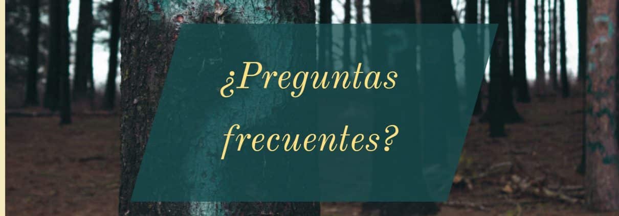 Guía para comprar un Hoverboard 7 preguntas frecuentes hoverboard